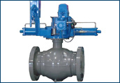 Valves & Actuators